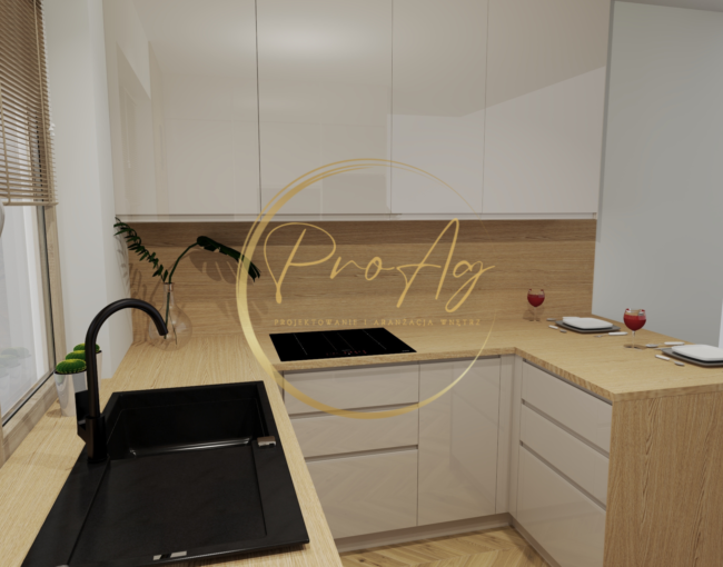 Łazienki z kuchnią - 11 - proagdesign